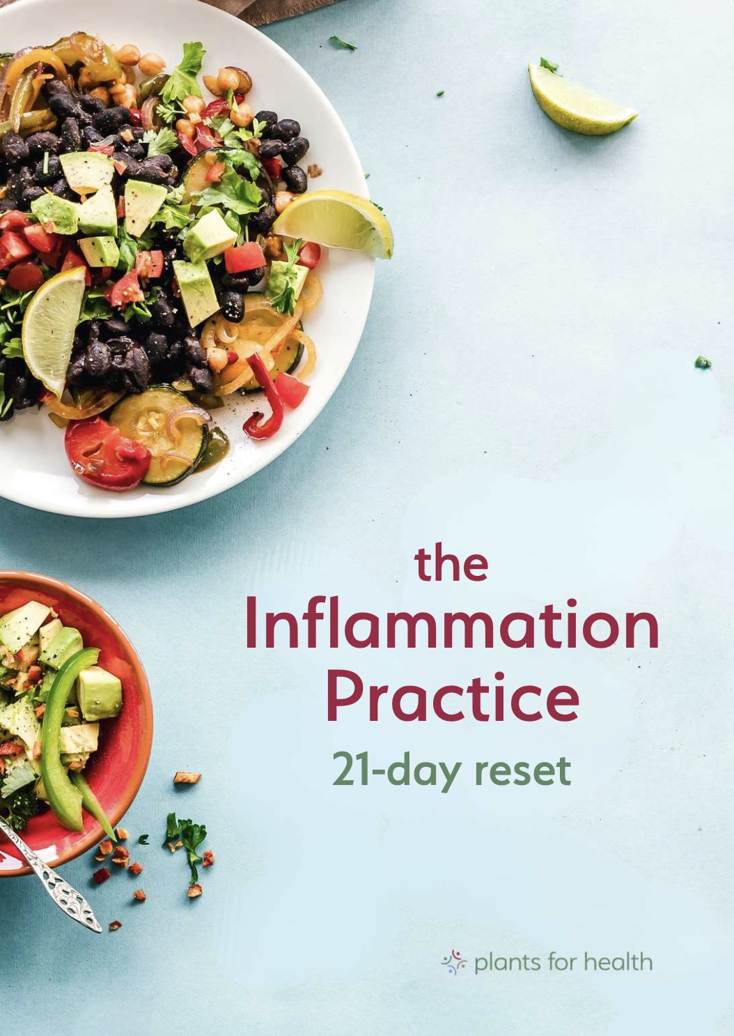 Ebook: The Inflammation Practice